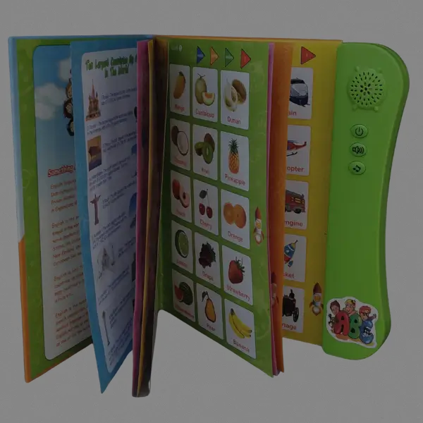 My English E-Book Unboxing My English E-Book Unboxing Video