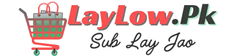 LayLow.Pk Logo New